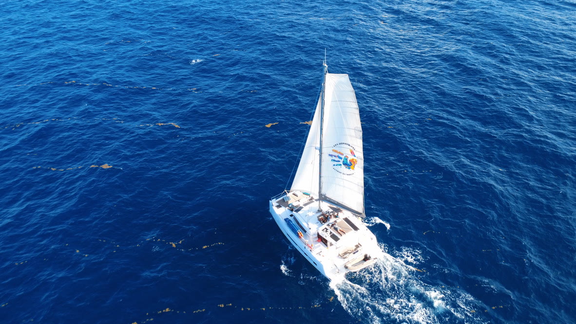 Catamaran Zephyr under sail, seen from above, in open water