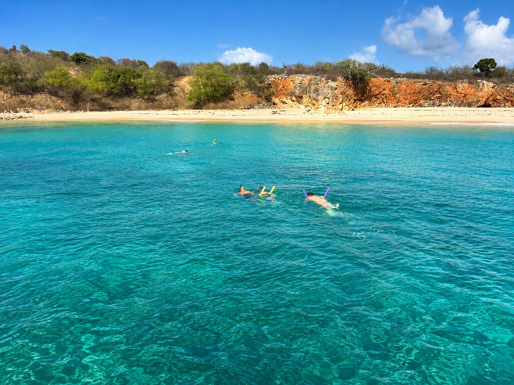 Snorkeling et protection des récifs coralliens à Saint-Martin, depuis le catamaran Zéphyr