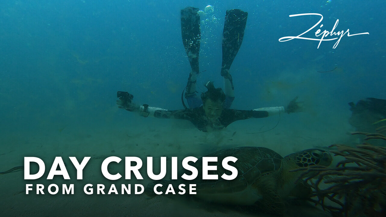 A turtle on the sand and a freediver in the clear water off Saint-Martin