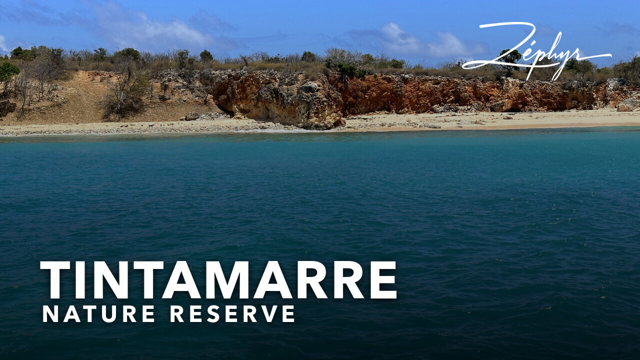 The ochre shore of Tintamarre and its turquoise water, seen from the anchorage